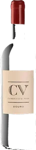 CV  Curriculum Vitae Douro Tinto 2019