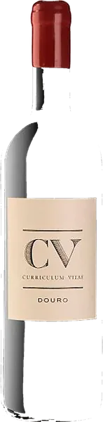 CV Curriculum Vitae Douro Tinto 2019