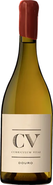 CV - Curriculum Vitae Douro Branco 2019
